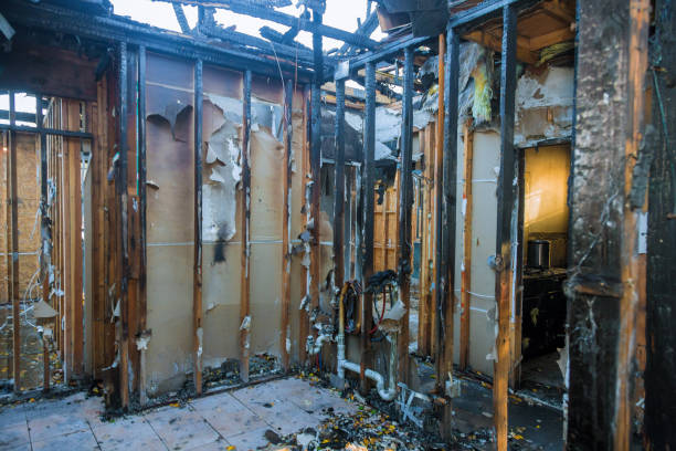 Professional Smoke Damage Removal technician working in Riverview, SC